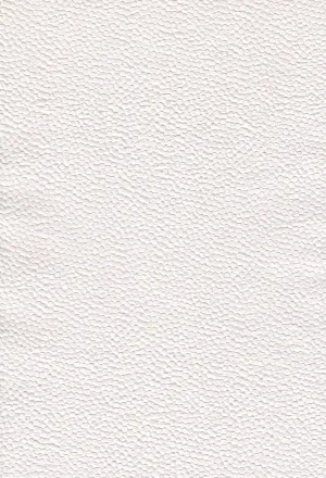 A4 Paper / No.08 Embossed Pebble Matt White