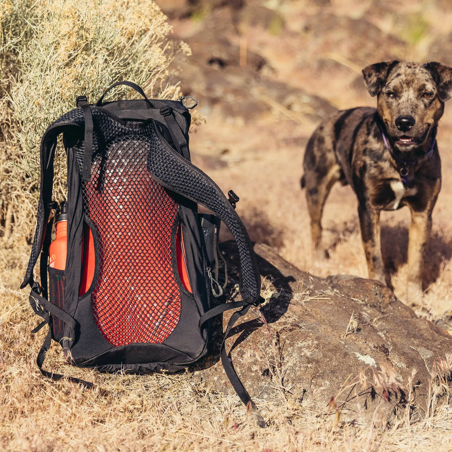 Arrio 18 Backpack