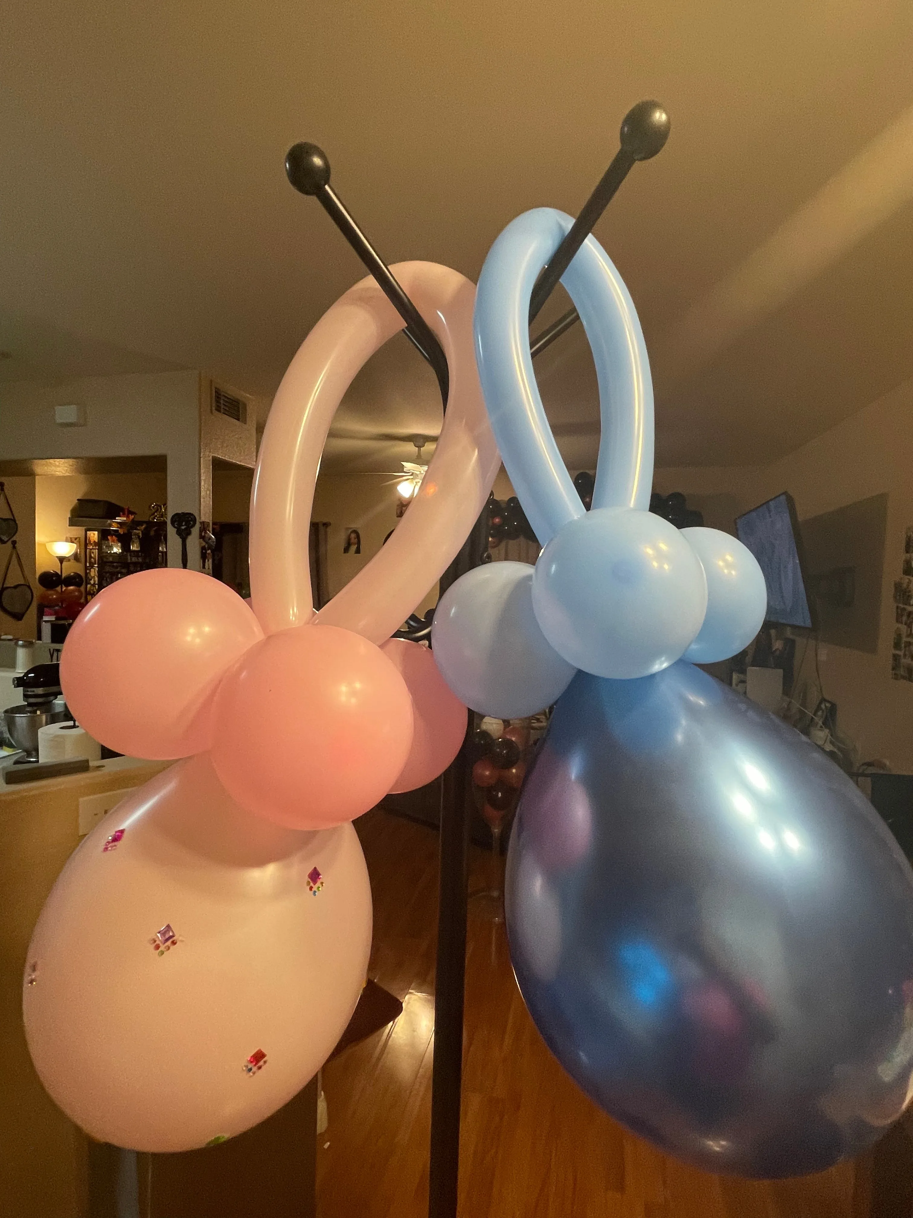 Balloon “Pacifiers”
