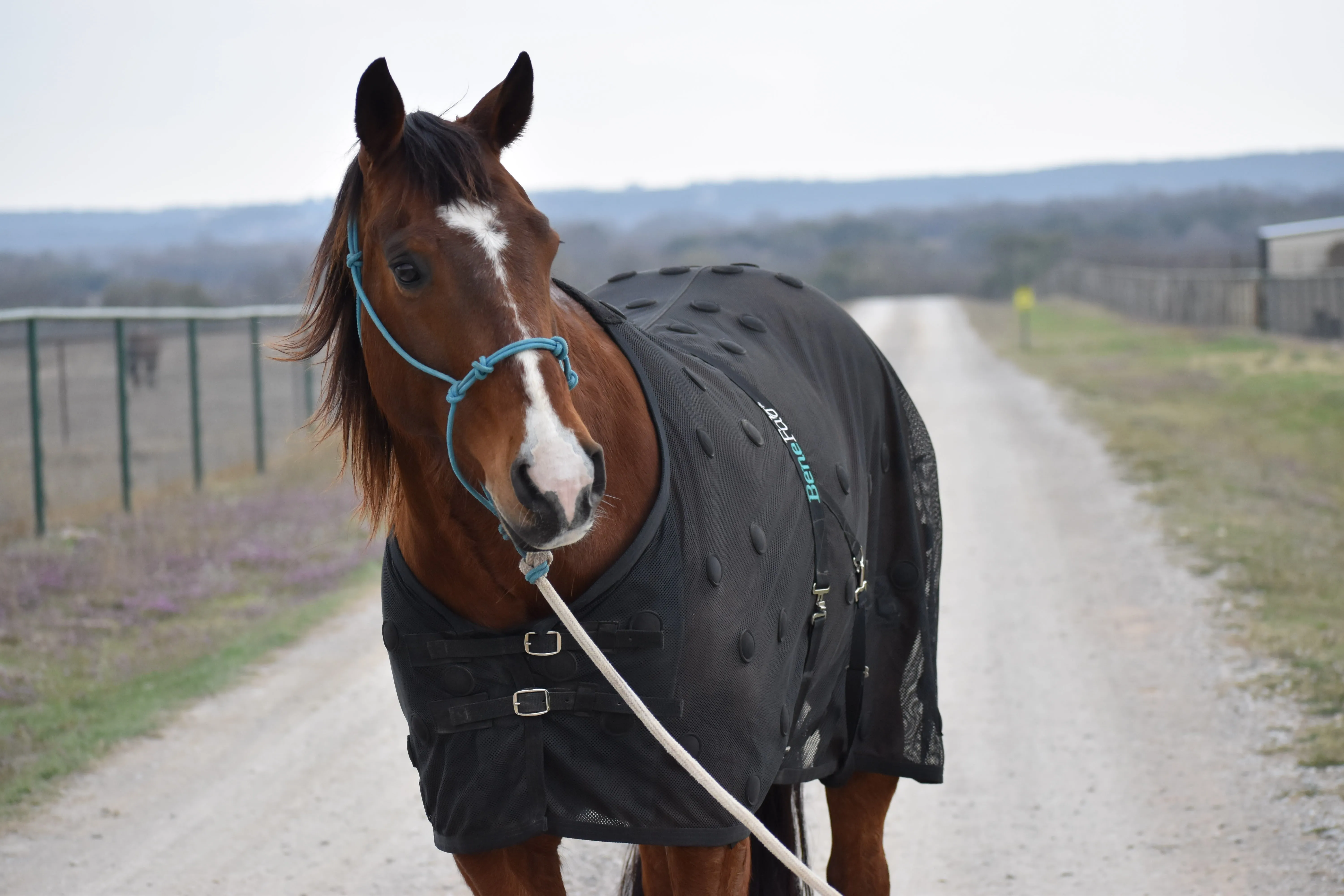 BeneFab Rejuvenate SmartScrim - 68", 74",76", 78", 82"