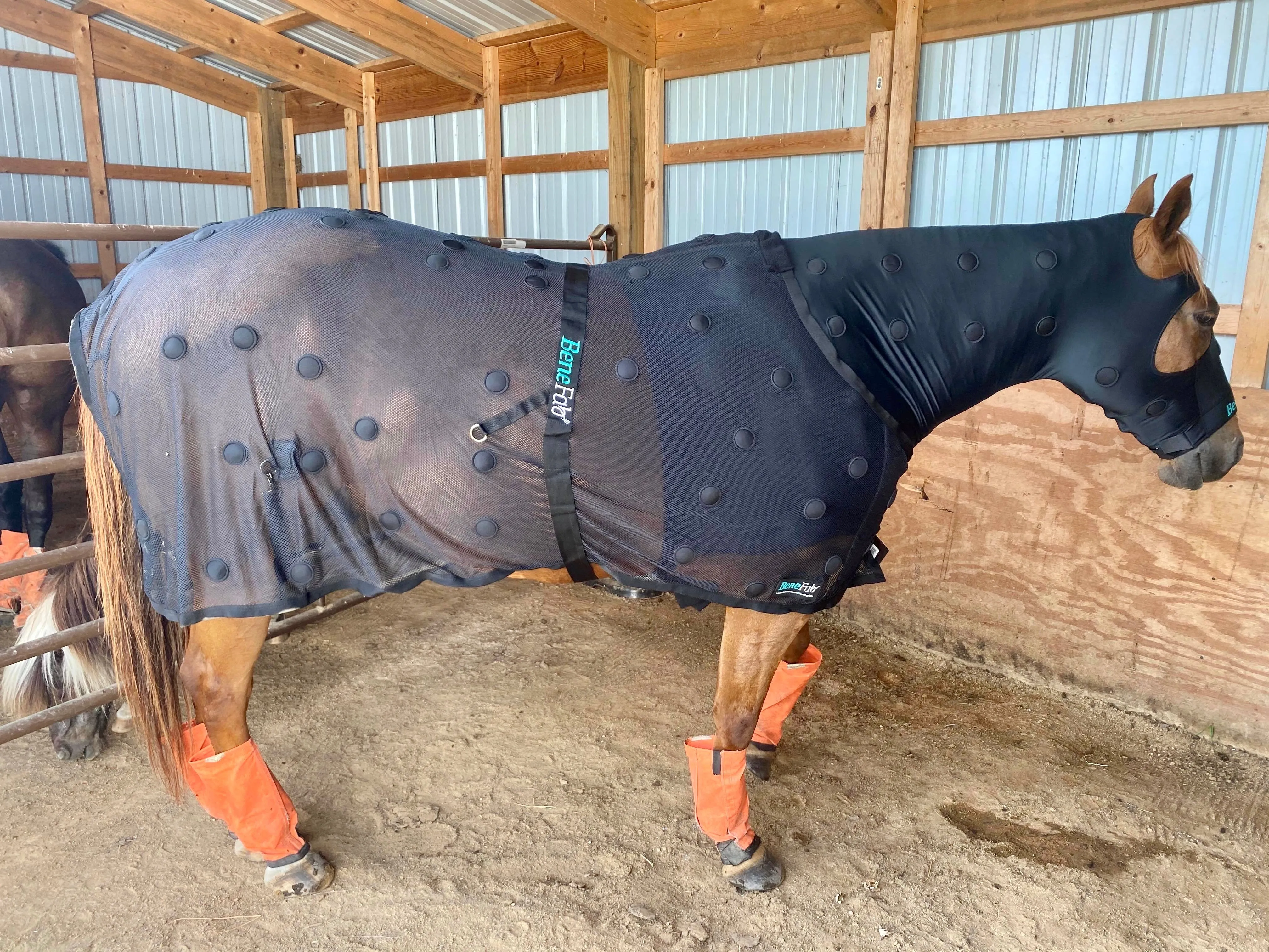 BeneFab Rejuvenate SmartScrim - 68", 74",76", 78", 82"