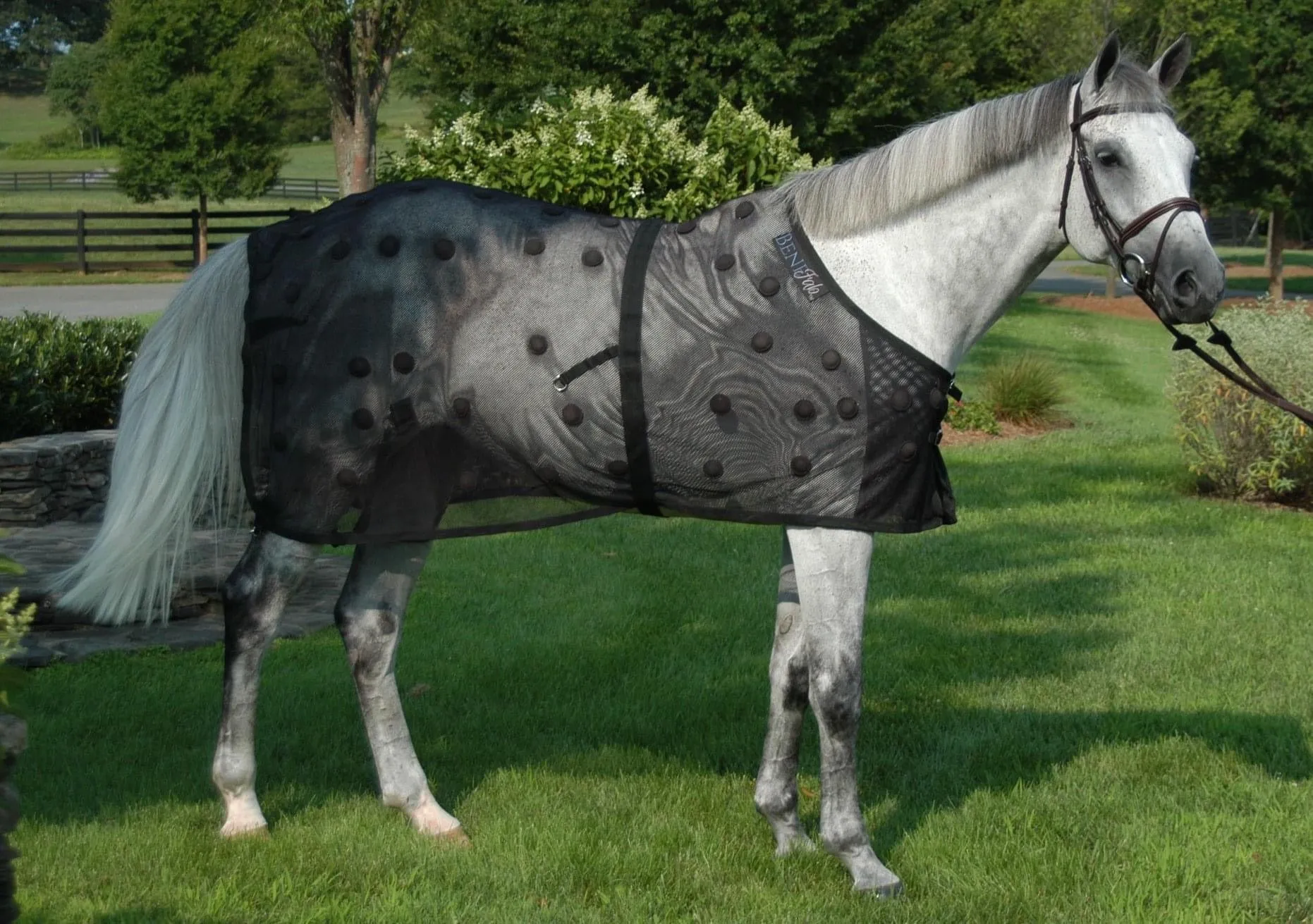 BeneFab Rejuvenate SmartScrim - 68", 74",76", 78", 82"