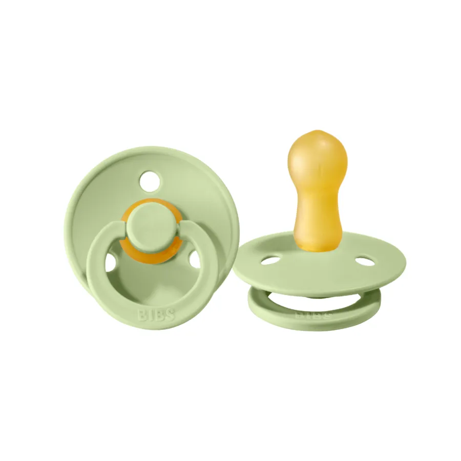Bibs Pacifier 2 Pack - Pistachio