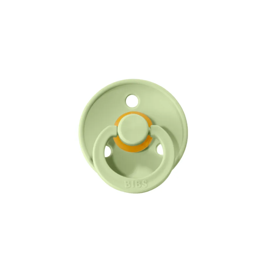 Bibs Pacifier 2 Pack - Pistachio