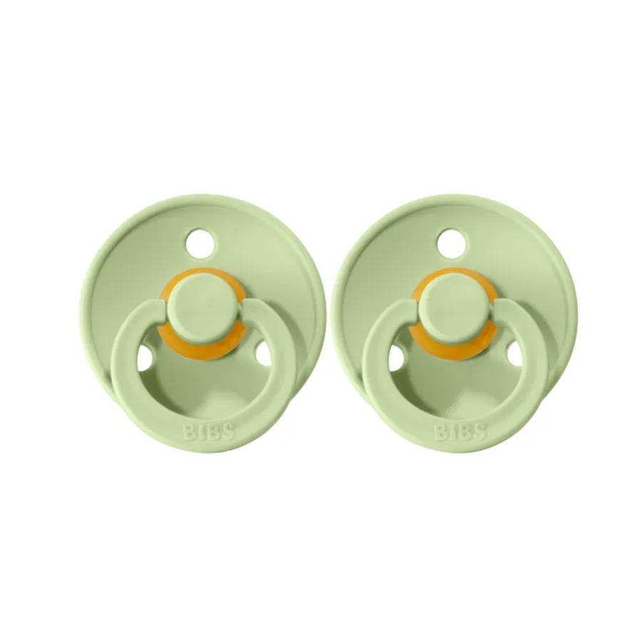 Bibs Pacifier 2 Pack - Pistachio