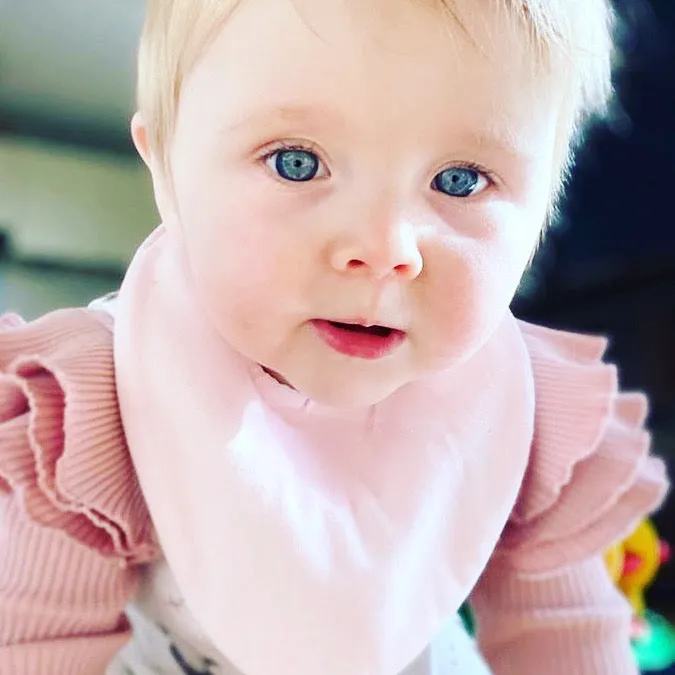Blush Pink Waterproof Dribble Bib