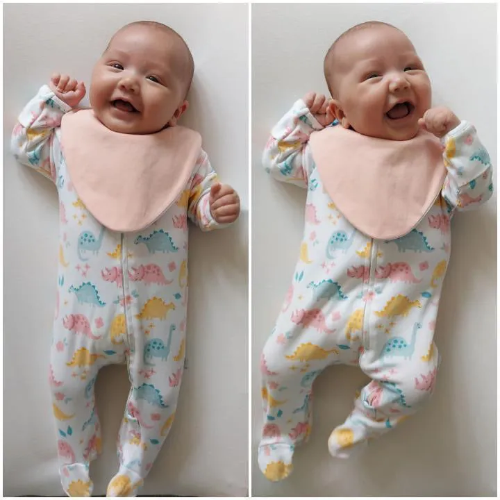 Blush Pink Waterproof Dribble Bib