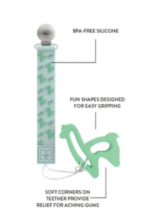 Combo Teether & Tether Cactus