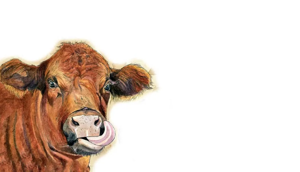 Cow Love Notes