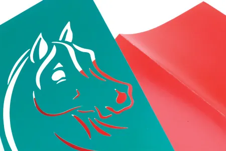 Greeting Cards "Horse Head"