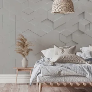 Hexagon Equation Wallpaper Mural