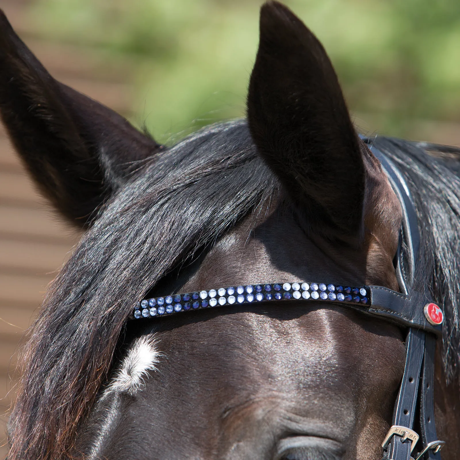 Kieffer Magic Tack Two Row Snaffle Bridle