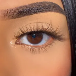 LashyBox Hazel Magnetic Lashes