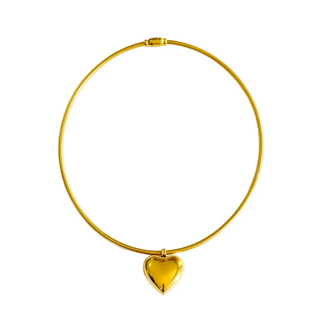 Magnet Heart Necklace
