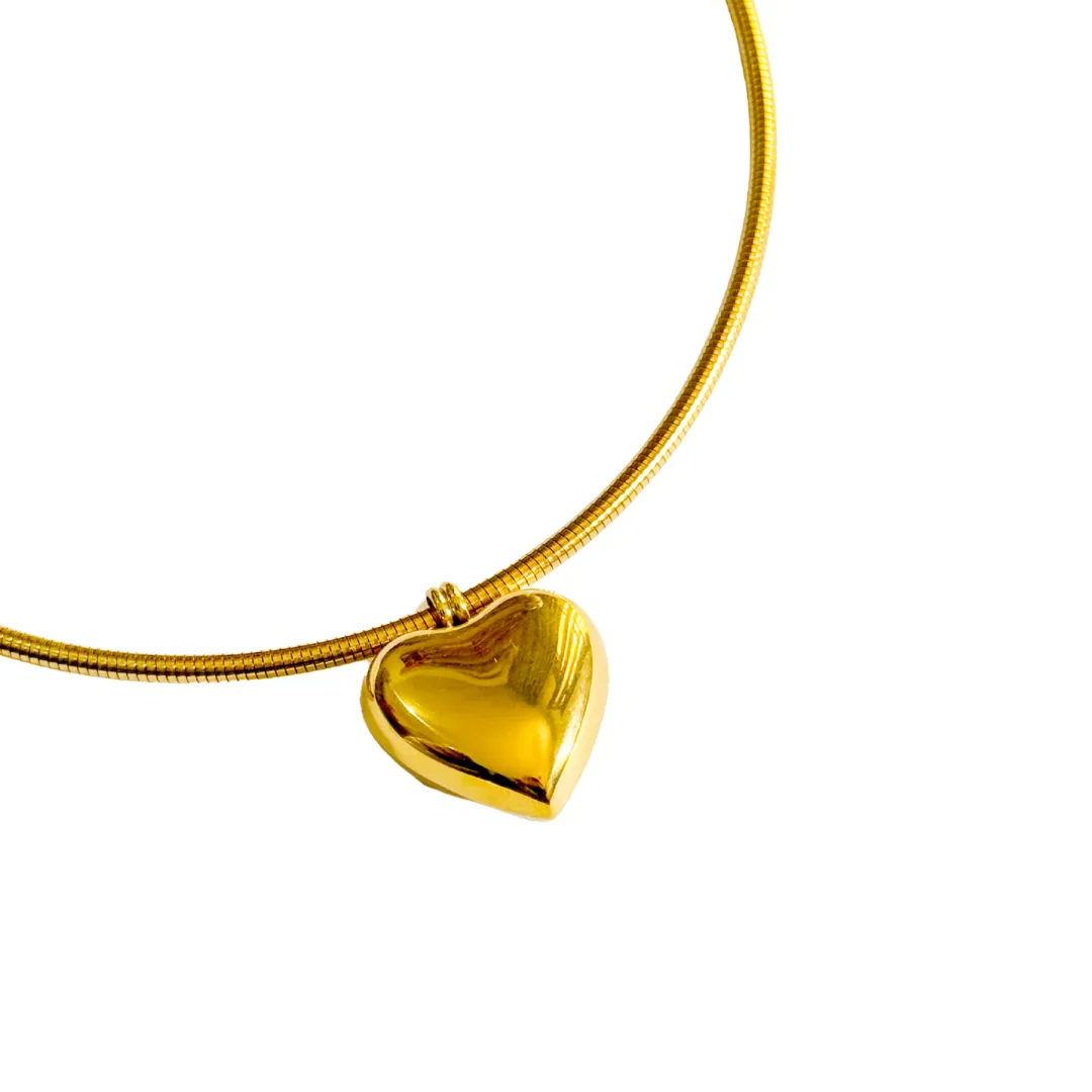 Magnet Heart Necklace