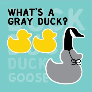 Magnet - What's a Gray Duck (Goose)