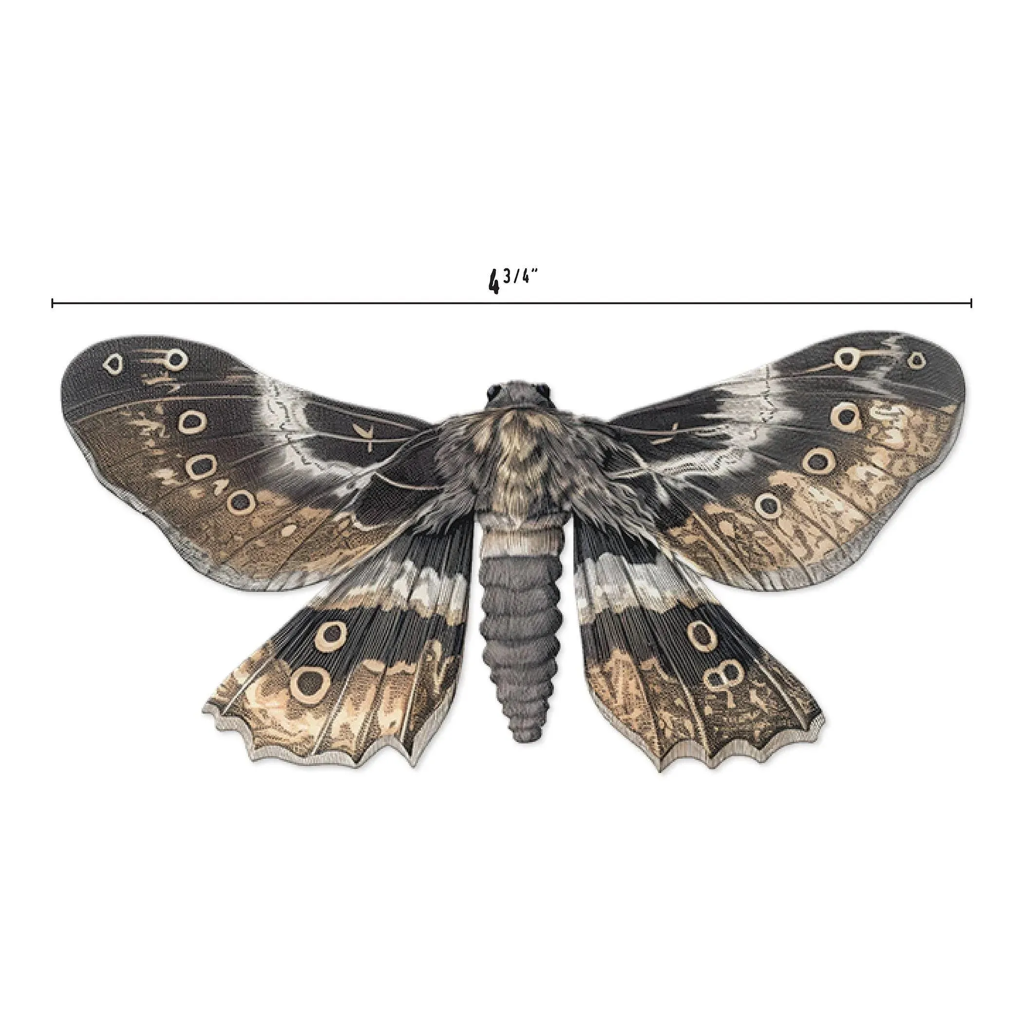 Moths Tim Holtz idea-ology 2024 Halloween Transparencies th94403