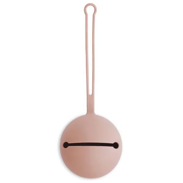 Pacifier Cases