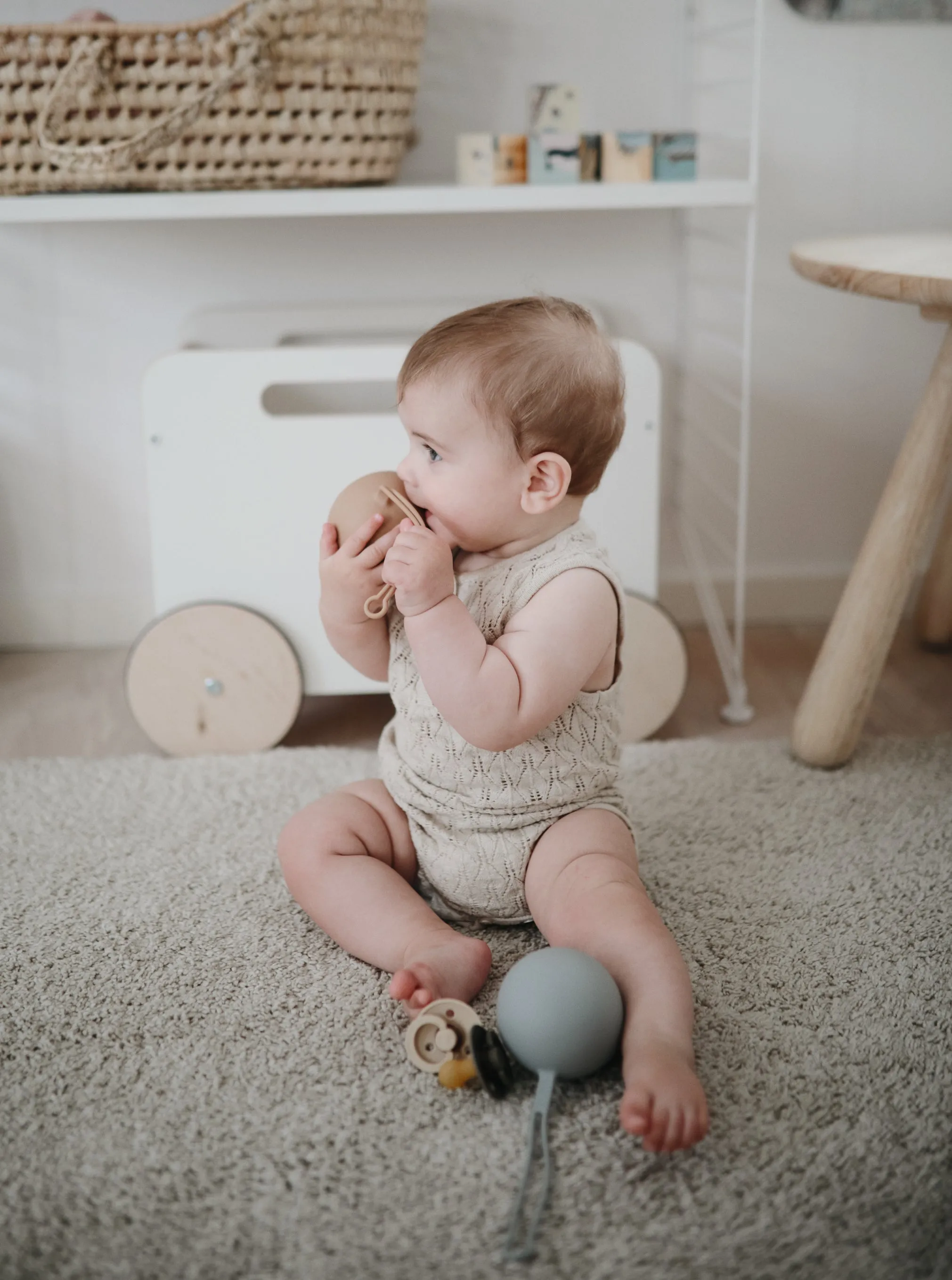 Silicone Pacifier Holder Case - Stone