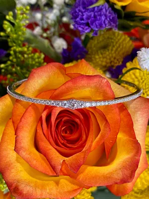Simon G Diamond Spring Bangle Bracelet in 18K Yellow Gold LB2310-Y