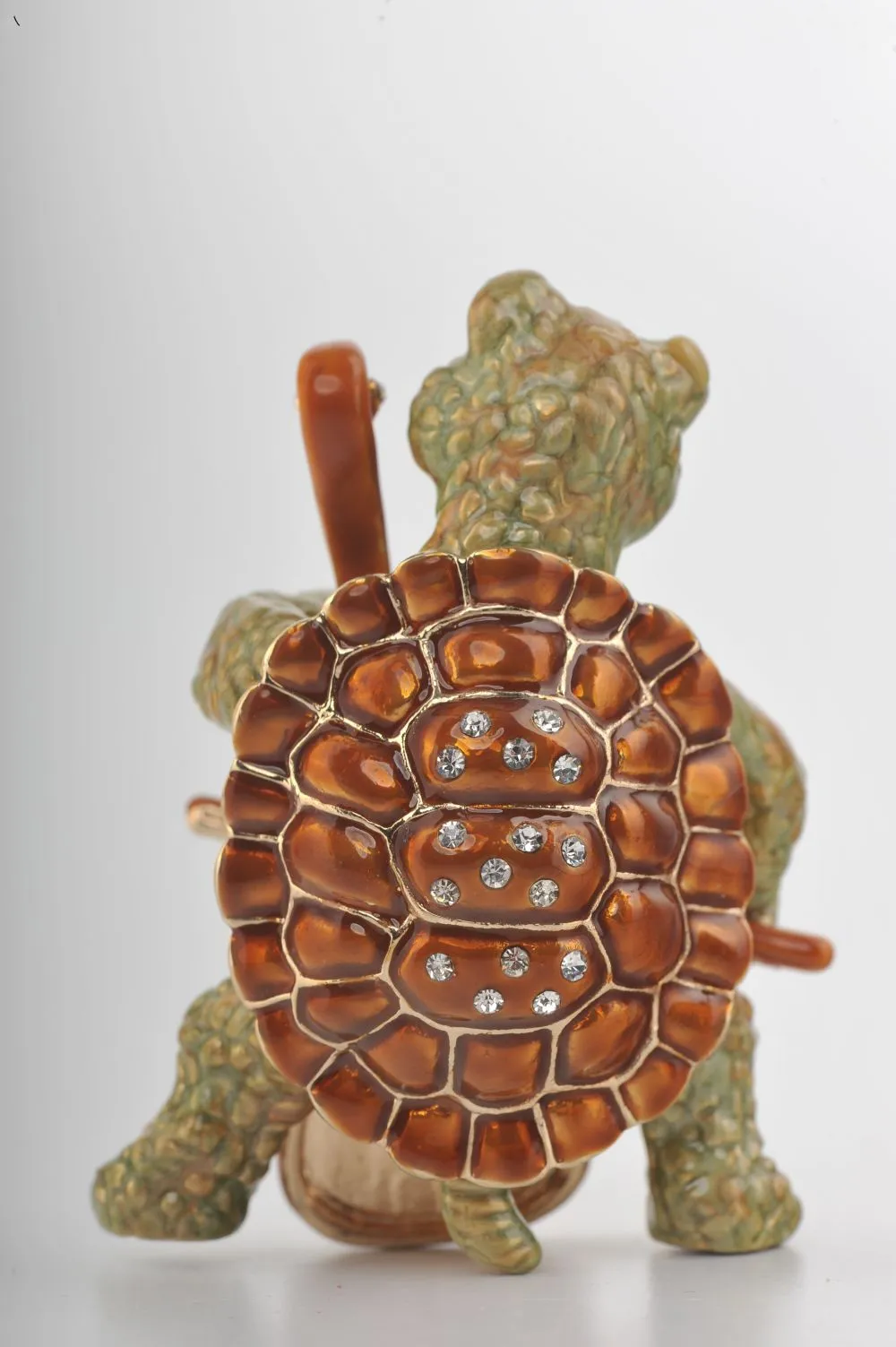 Turtle Playing the Cello