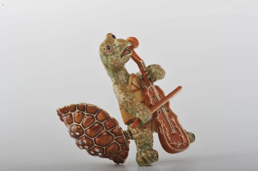 Turtle Playing the Cello