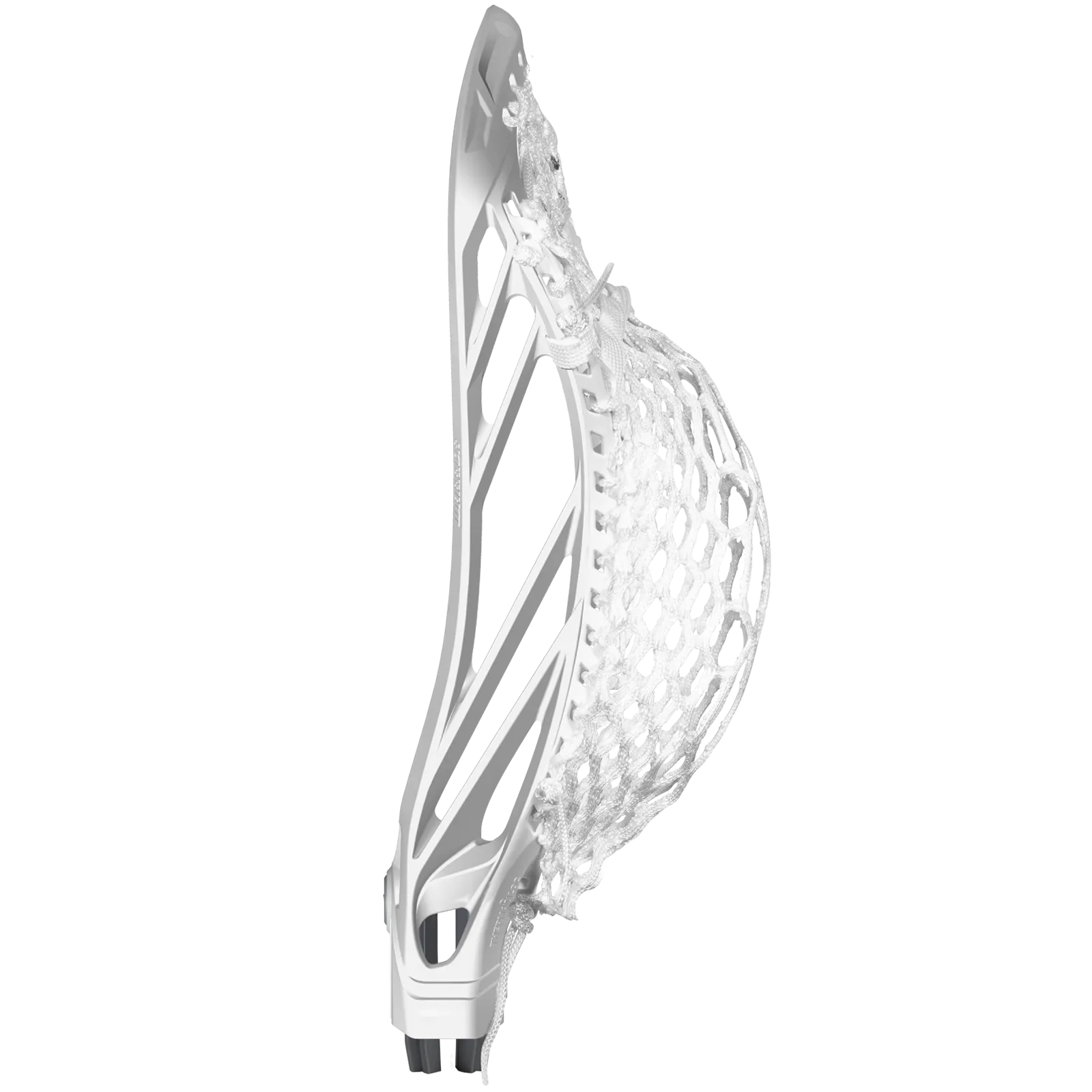 Warrior Burn XP-D Head Strung